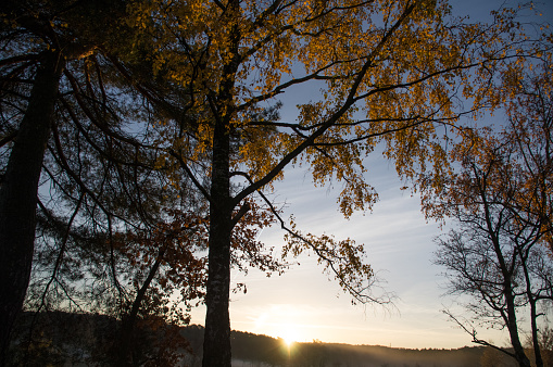 Mystic winter sunrise in the wetland cold Brunssummerheide