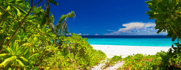 istock Tropical beach of Grande Soeur 1082087208
