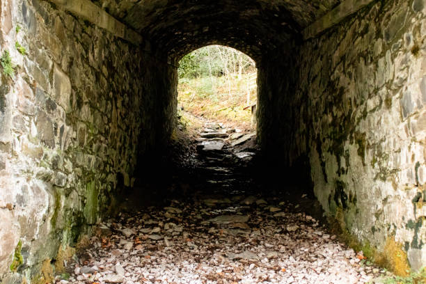 istock Tunnel Leading to Haverthwaite Heights 1082091120
