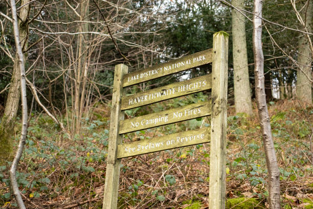 istock Havertwaite Heights No Camping No Fires Sign 1082091400