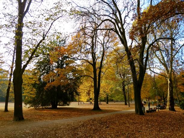 istock autumn in the park 1082091446