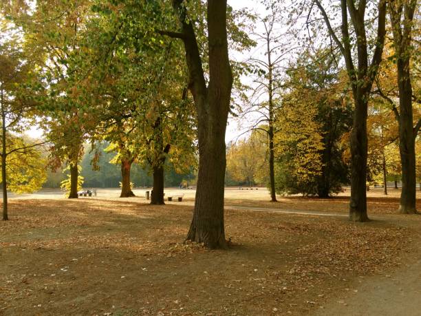 istock autumn in the park 1082091454