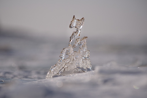 Whims of nature - a close-up of the translucent ice formation covered with sand on a beach at Mangalsala, Riga, Latvia. The beginning of March. Horizontal photographic image with very shallow DOF.