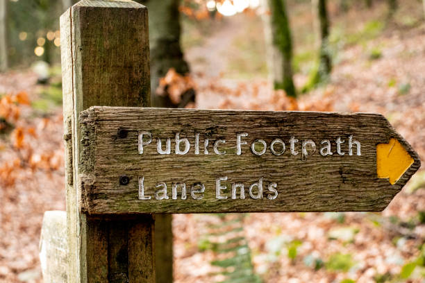 istock Footpath signpost leading to Lane Ends 1082095686