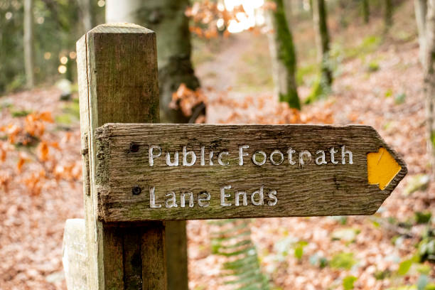 istock Footpath signpost leading to Lane Ends 1082095830