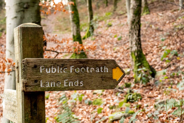 istock Footpath signpost leading to Lane Ends 1082095934