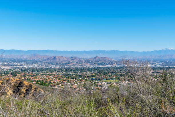 istock Brush view of city below 1082112738