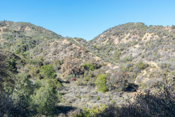 istock Hiking trails in winter sun 1082112746