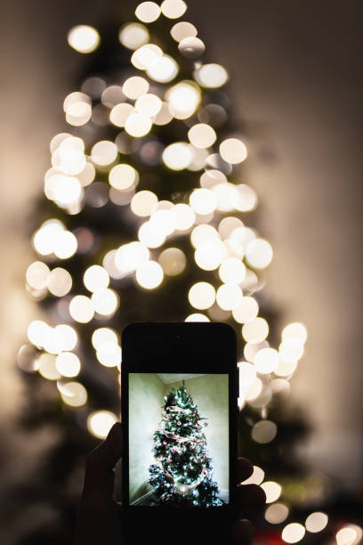 istock Taking photo of a Christmas tree 1082115546