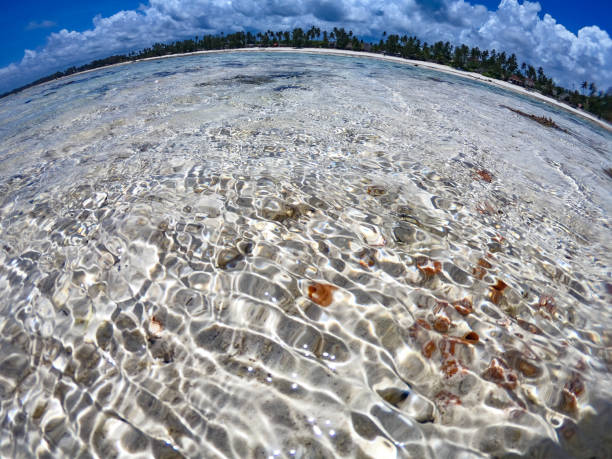 istock Shallow Sea Level During Low Tide on Zanzibar 1082115702