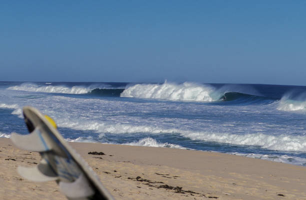 istock The perfect empty beach with surfboard and lone surfer 1082145304