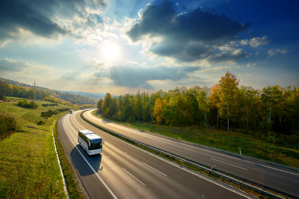 autobuses blanco tres personas viajando en la carretera de asfalto entre bosques caducifolios en otoño colores bajo el sol radiante y nubes dramáticas. vista desde arriba. - autobús fotografías e imágenes de stock