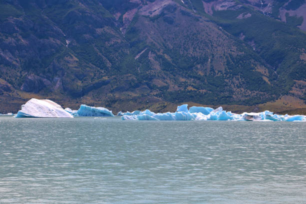 istock Viedma Lake and Glacier 1082149006