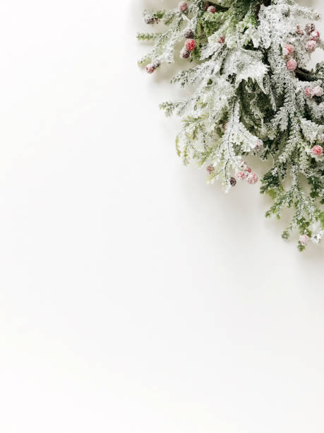 décorations de noël - flower snow winter close up photos et images de collection