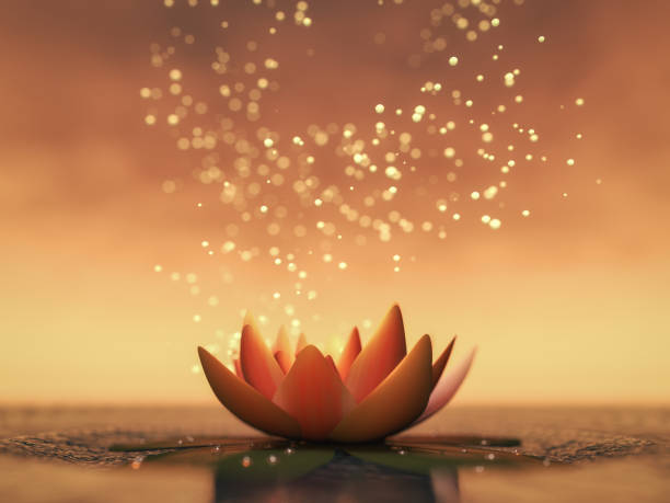 a lotus flower good for relaxation a lotus flower good for relaxation(3d rendering) lotus water lily photos stock pictures, royalty-free photos & images