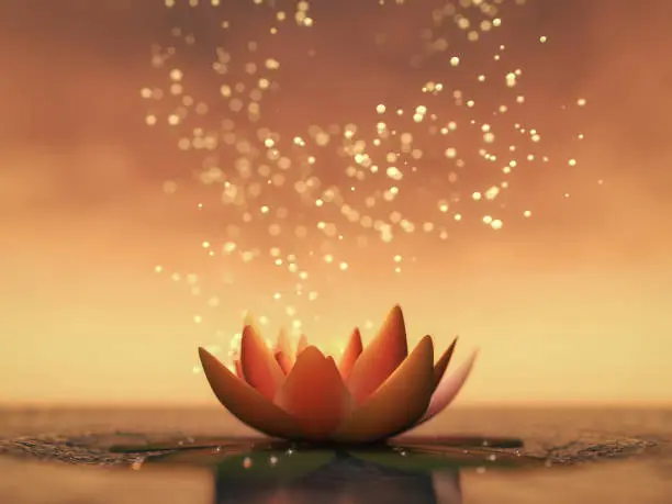 a lotus flower good for relaxation(3d rendering)