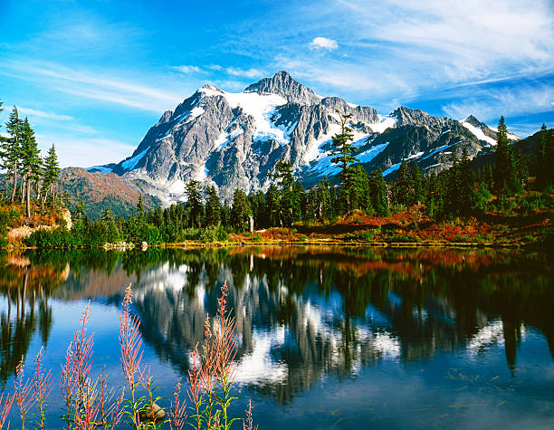 beauté de la nature - mont shuksan photos et images de collection