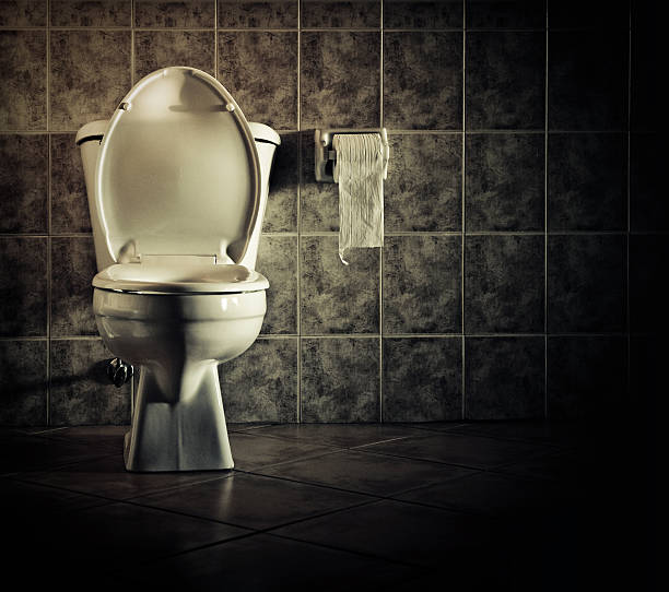 disturbing toilet stock photo