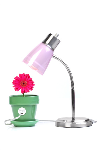 A daisy in a pot powers a lamp\n[url=http://www.istockphoto.com/file_search.php?action=file&lightboxID=4816947][img]http://www.erichood.net/istock/energy.jpg[/img][/url] [url=file_closeup.php?id=7181711][img]file_thumbview_approve.php?size=1&id=7181711[/img][/url] [url=file_closeup.php?id=7171629][img]file_thumbview_approve.php?size=1&id=7171629[/img][/url] [url=file_closeup.php?id=9252137][img]file_thumbview_approve.php?size=1&id=9252137[/img][/url] [url=file_closeup.php?id=7238009][img]file_thumbview_approve.php?size=1&id=7238009[/img][/url] [url=file_closeup.php?id=7235576][img]file_thumbview_approve.php?size=1&id=7235576[/img][/url] [url=file_closeup.php?id=7169128][img]file_thumbview_approve.php?size=1&id=7169128[/img][/url] [url=file_closeup.php?id=7168180][img]file_thumbview_approve.php?size=1&id=7168180[/img][/url] [url=file_closeup.php?id=7161158][img]file_thumbview_approve.php?size=1&id=7161158[/img][/url] [url=file_closeup.php?id=7160065][img]file_thumbview_approve.php?size=1&id=7160065[/img][/url] [url=file_closeup.php?id=8897729][img]file_thumbview_approve.php?size=1&id=8897729[/img][/url] [url=file_closeup.php?id=7162964][img]file_thumbview_approve.php?size=1&id=7162964[/img][/url] [url=file_closeup.php?id=7160675][img]file_thumbview_approve.php?size=1&id=7160675[/img][/url] [url=file_closeup.php?id=9227047][img]file_thumbview_approve.php?size=1&id=9227047[/img][/url] [url=file_closeup.php?id=8916069][img]file_thumbview_approve.php?size=1&id=8916069[/img][/url] [url=file_closeup.php?id=8905118][img]file_thumbview_approve.php?size=1&id=8905118[/img][/url] [url=file_closeup.php?id=8705853][img]file_thumbview_approve.php?size=1&id=8705853[/img][/url] [url=file_closeup.php?id=8705816][img]file_thumbview_approve.php?size=1&id=8705816[/img][/url] [url=file_closeup.php?id=8501636][img]file_thumbview_approve.php?size=1&id=8501636[/img][/url] [url=file_closeup.php?id=8451335][img]file_thumbview_approve.php?size=1&id=8451335[/img][/url]
