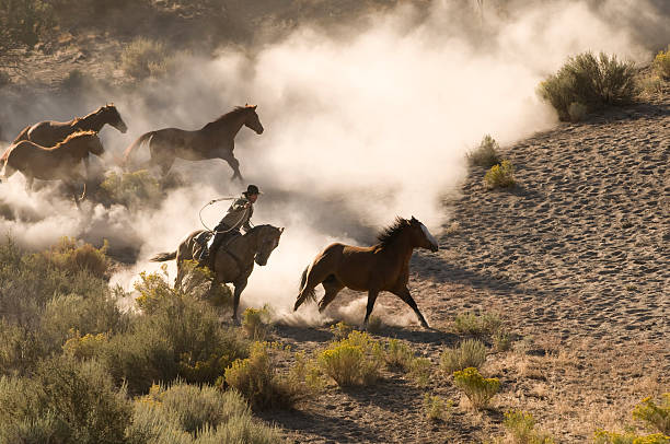 istock Cowboy Chasing Wild Horses Through Desert 108219477