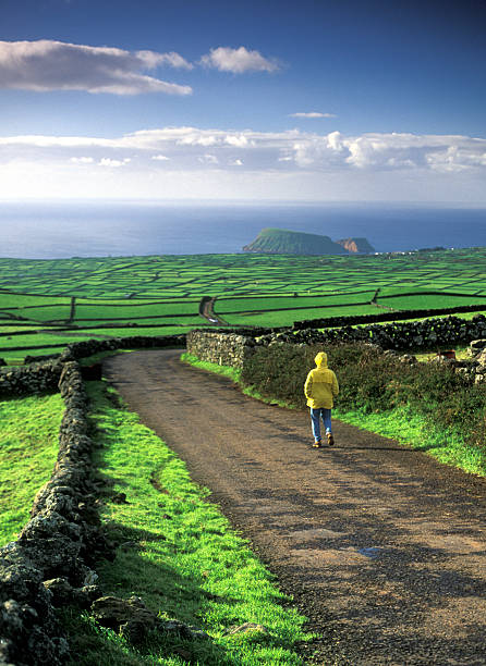 man in レインコートたり、豊かな緑の丘 - landscape hill green grass ストックフォトと画像