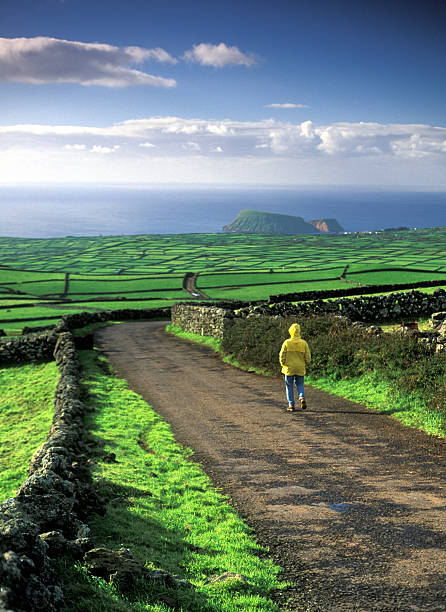 Man in Raincoat Walking Down Hill with Lush Green Fields  terceira azores stock pictures, royalty-free photos & images