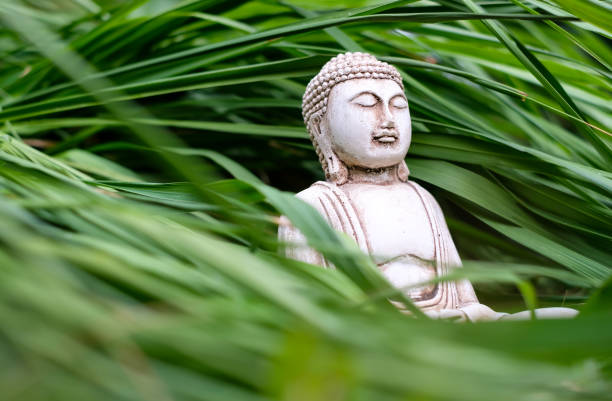 Small white Buddha statue in a meditation pose on long green grass background. Religious symbol of buddhism.