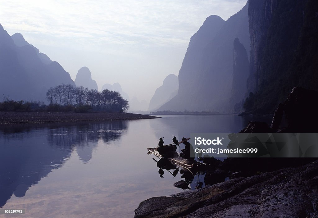 Pêcheurs et cormorans series - Photo de Cormoran libre de droits