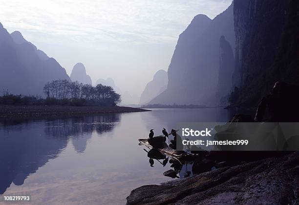 漁師ウシリーズ - 鵜のストックフォトや画像を多数ご用意 - 鵜, 中国, 広西省
