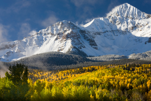 snow covered mountain peak above fall colored aspens