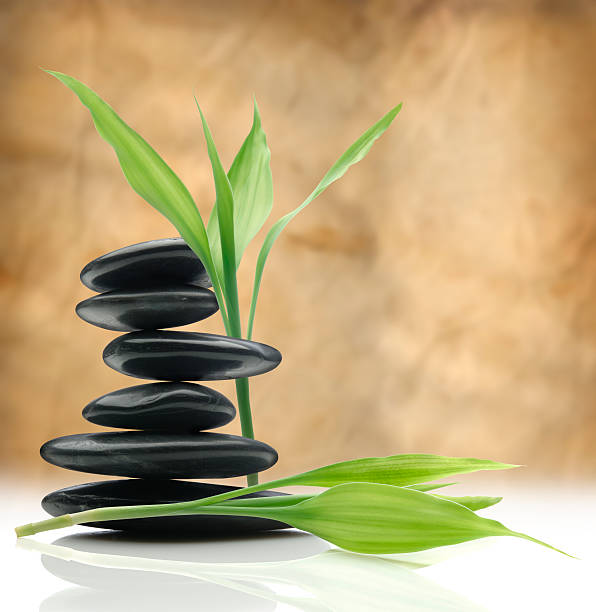 istock Health and Wellness 108219950