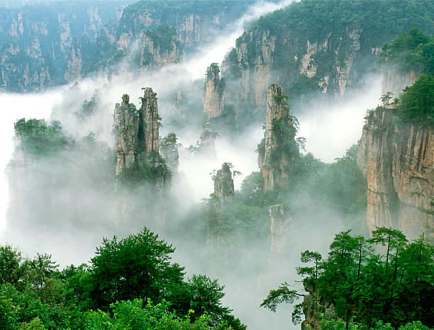 Scenic view of Zhangjiajie in Hunan, China, featuring unique mountain peaks and lush forests