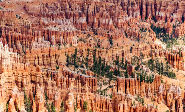 istock Bryce Point in Bryce Canyon National Park 1082199768