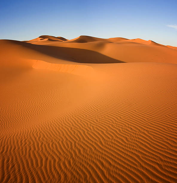 istock Sahara Desert Sand Dunes Against Blue Sky 108220001