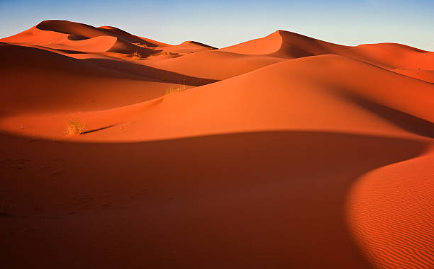sahara 砂漠の砂丘アゲインストブルースカイ - landscape desert wave pattern erg chebbi dunes ストックフォトと画像