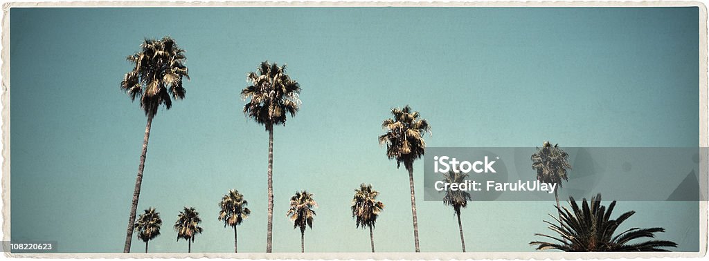 California palme-Look Vintage serie - Foto stock royalty-free di Palma