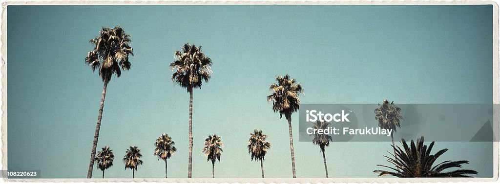 California Palms-Vintage wygląd serii - Zbiór zdjęć royalty-free (Brudny)