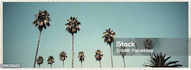 Califórnia Palmaslook Vintage Series - Fotografias de stock e mais imagens de Palmeira - Palmeira, Sujo, Alto - Descrição Física