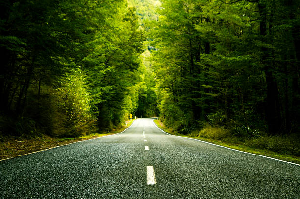 istock Country road with forest around 108220914