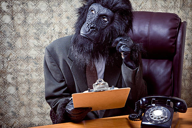 istock Thinking Business Gorilla in His Office 108221122