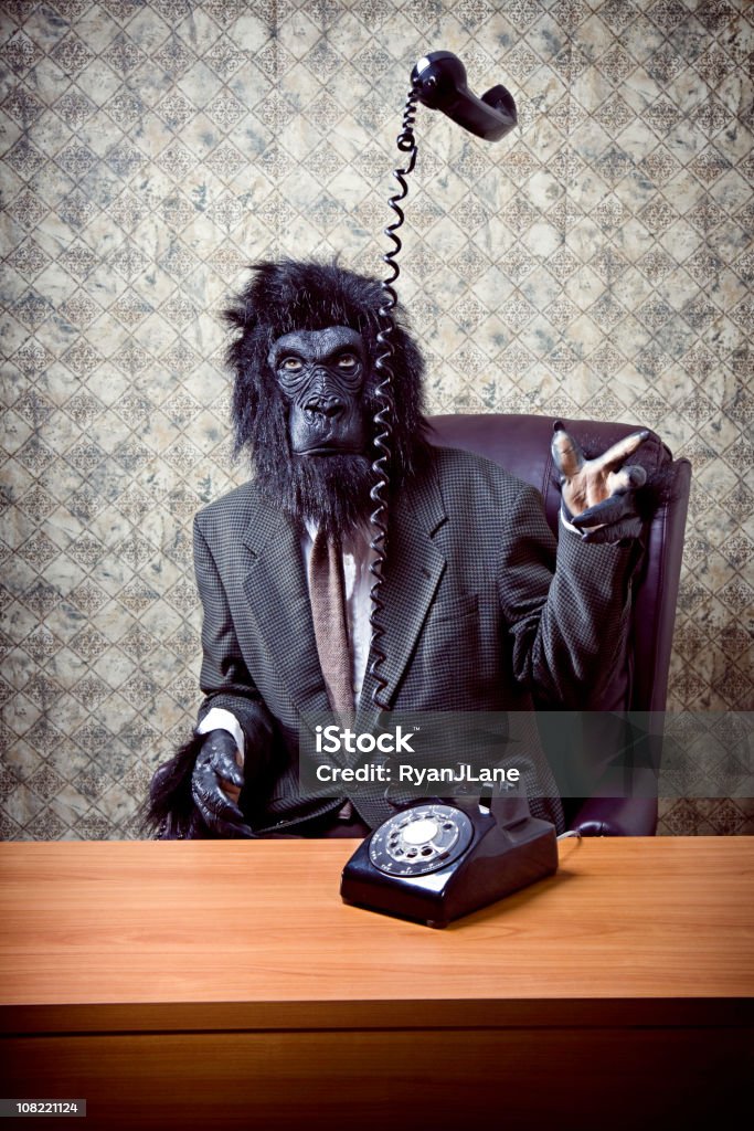 Gorilla di Business in un ufficio pronto telefono - Foto stock royalty-free di Costume