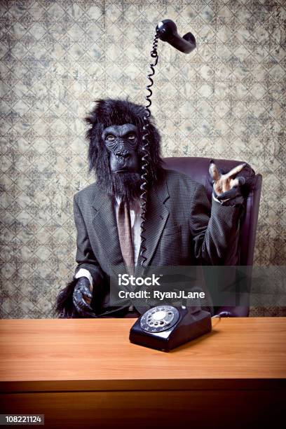 Foto de Gorila De Negócios No Escritório Jogando Telefone e mais fotos de stock de Fantasia - Disfarce - Fantasia - Disfarce, Escritório, Arremessar