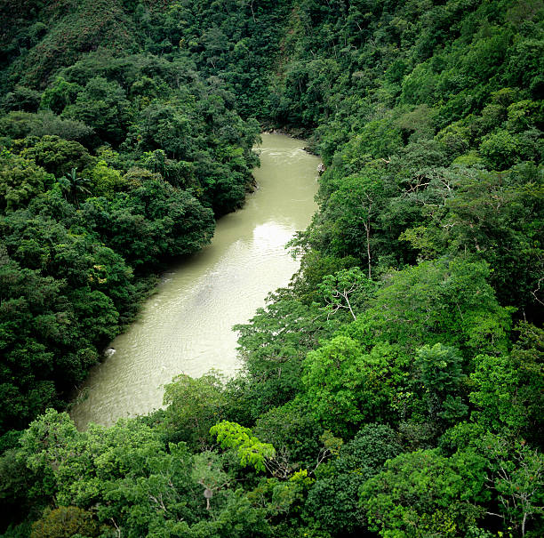 Aerial view of Caparo river