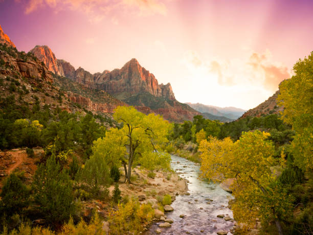 Bela paisagem (XXL) Parque Nacional de Zion - foto de acervo