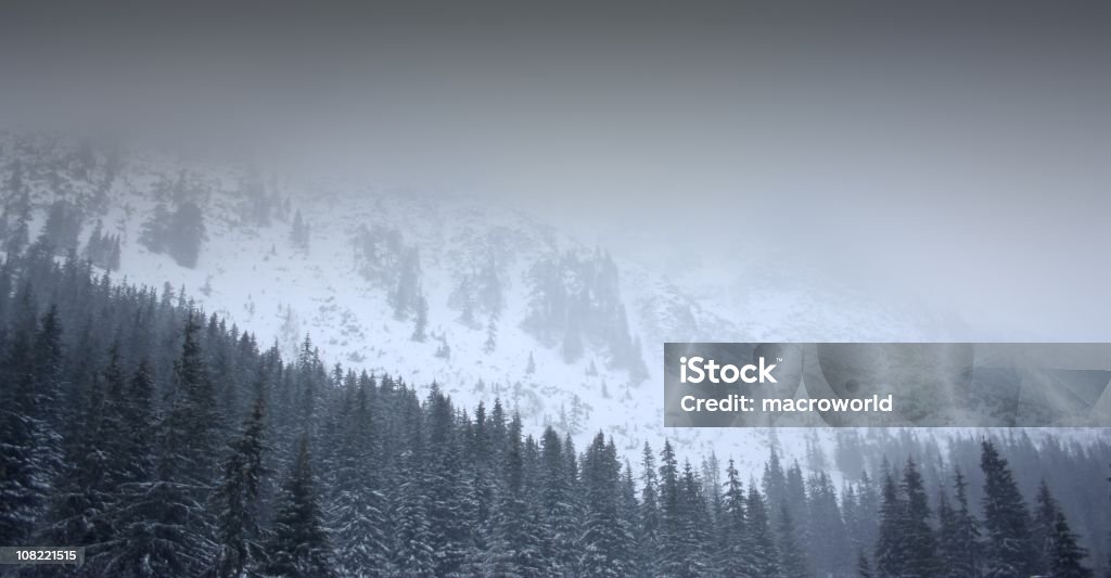 Śnieg ograniczona górami w Fog - Zbiór zdjęć royalty-free (Arktyka)