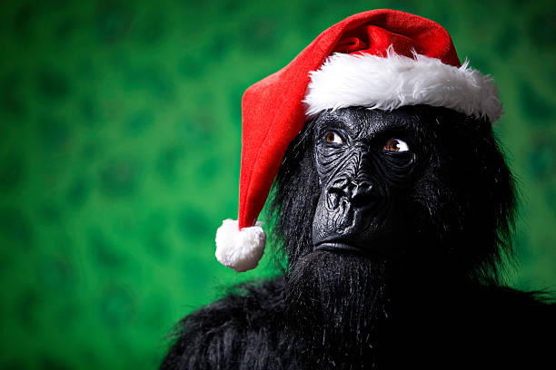 Red And Green Christmas Gorilla With Copy Space Stock Photo