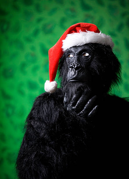 KOTORI GORILLA L/S Xmas ver. XL 新品 Gorilla Shou becomes a Christmas tree. ゴリラのショウ君は