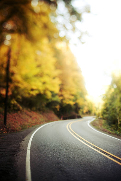 istock Paved road curving through autumn trees 108221545