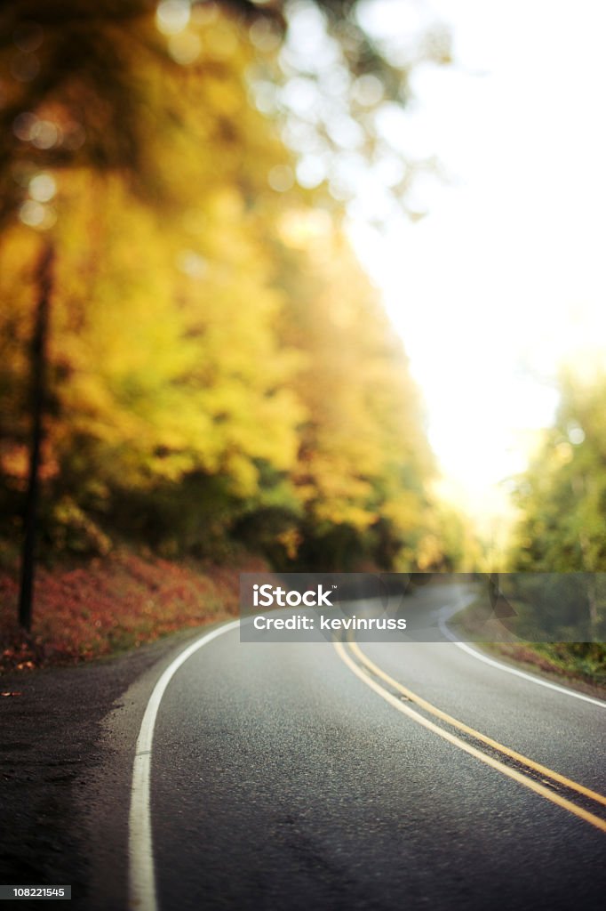 Estrada com árvores de outono com linhas - Royalty-free Estrada Sinuosa Foto de stock