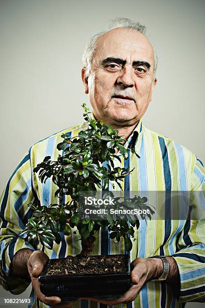 Adult Man Holding Bonsai Tree Stock Photo - Download Image Now - Senior Adult, 60-69 Years, 70-79 Years